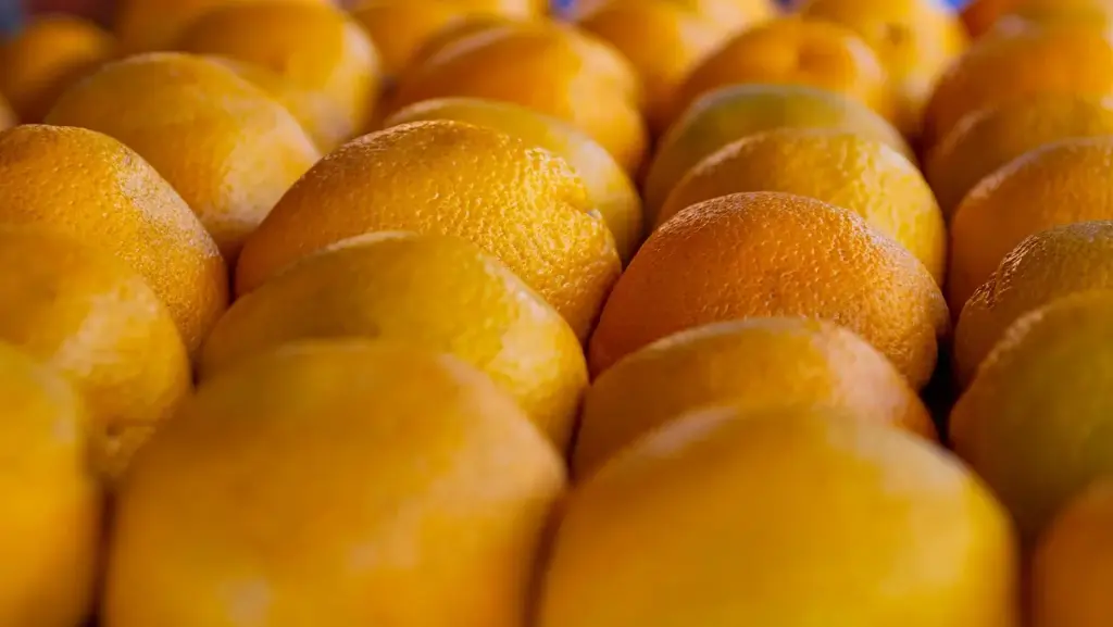 Donación periódica mensual (50€)