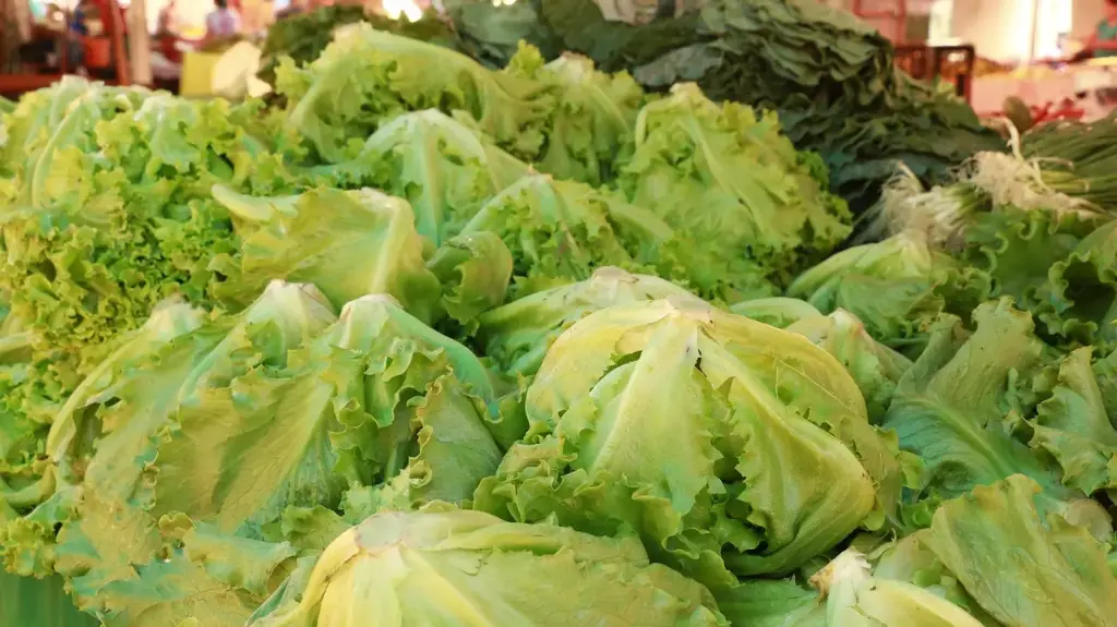 Donación periódica semestral (50€)